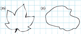 class six maths mensuration question